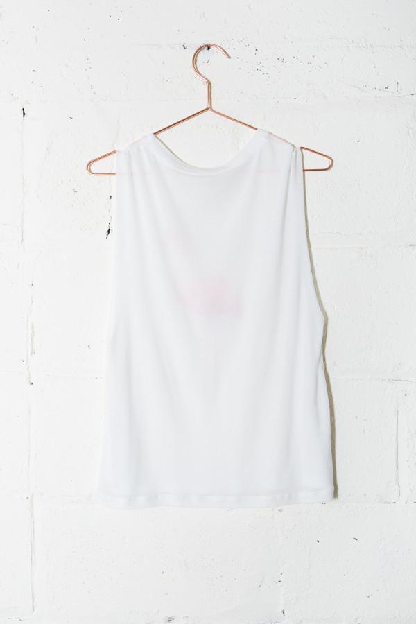 A Fine Line Flamingo Tank