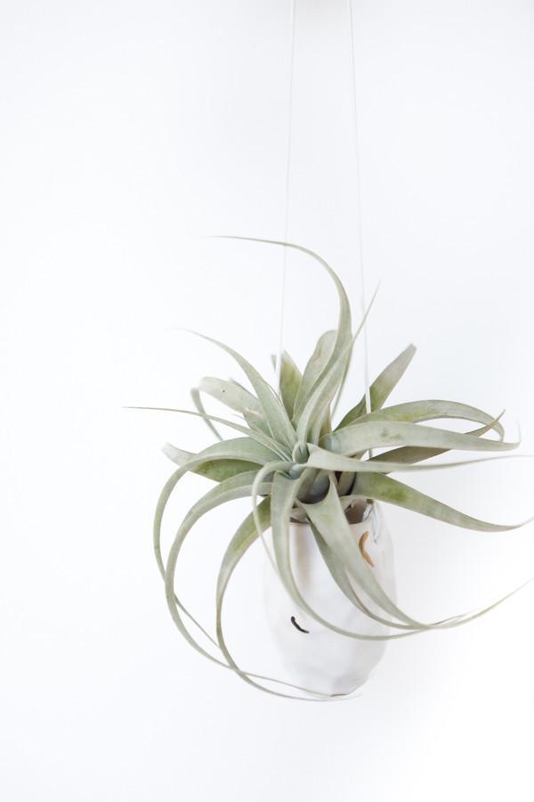 Hanging Facet Ceramic Vessel